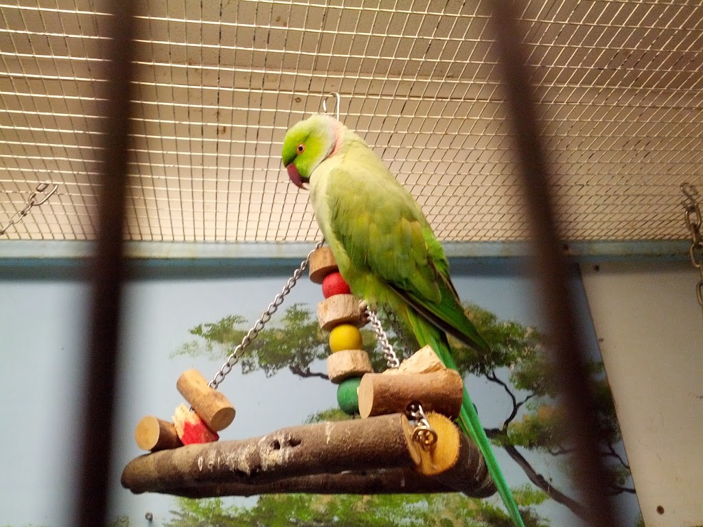 Friends of the Aviary | 85 Oak Knoll Dr, Hamilton, ON L8S 4C2, Canada | Phone: (905) 546-4842