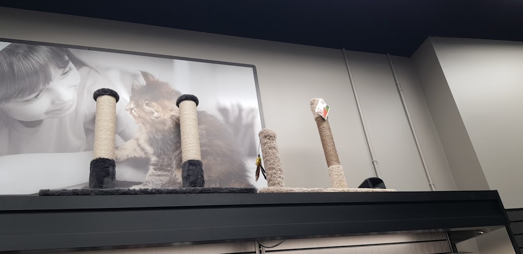 Pet Valu | 5200 Yonge St Unit 1, Toronto, ON M2N 5P6, Canada | Phone: (416) 222-8882