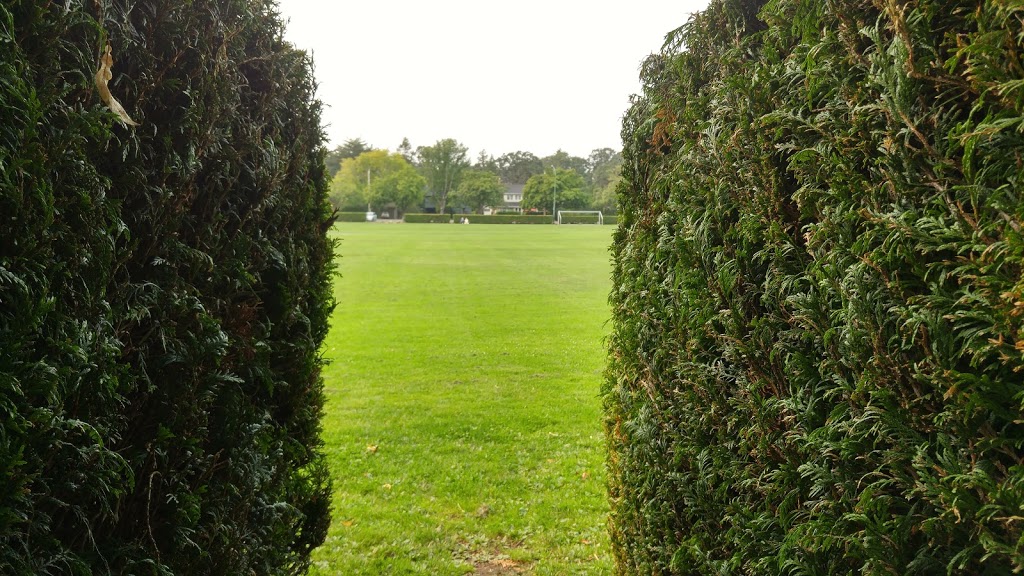 Windsor Park field | 2451 Windsor Rd, Victoria, BC V8S 5H3, Canada | Phone: (250) 592-7275
