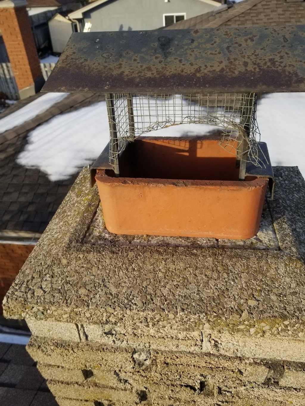 Durapest Wildlife Removal and Pest Control | 3 Swales Crescent, Brampton, ON L6R 0G4, Canada | Phone: (905) 782-6332