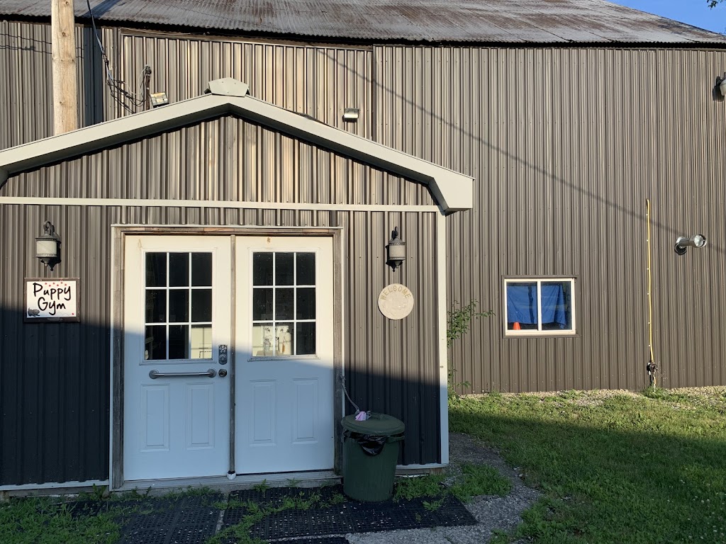 Cassandras Canines Inc. | 281 Onondaga Townline Rd, Caledonia, ON N3W 2G9, Canada | Phone: (905) 746-5959