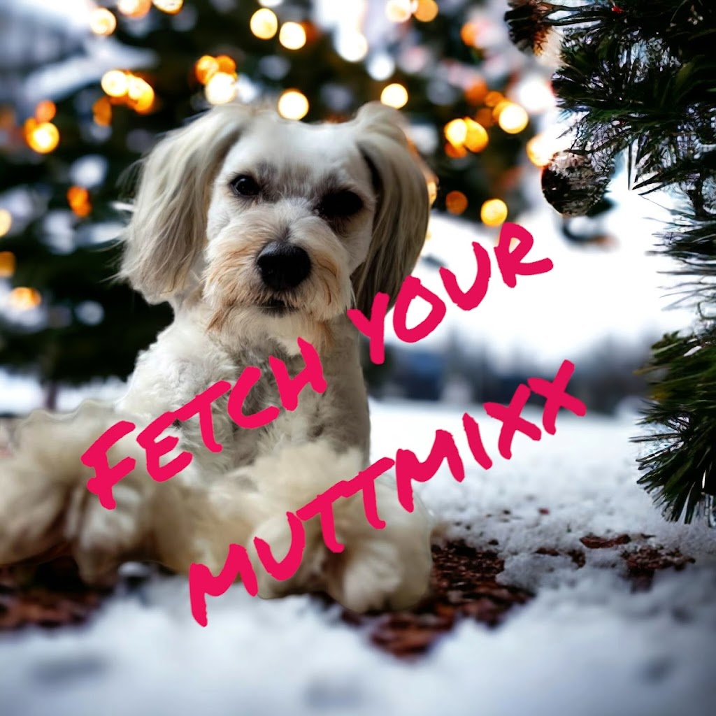 muttmixx | 14 Mary St, Havelock, ON K0L 1Z0, Canada | Phone: (289) 795-2262