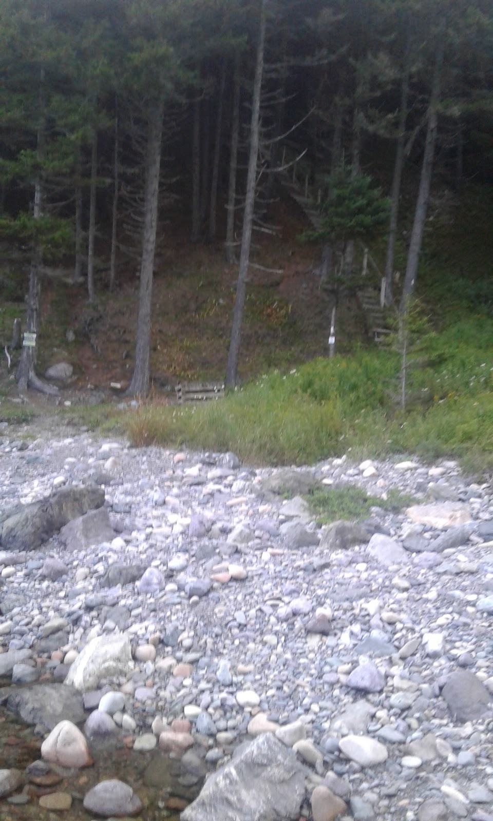Cradle Brook - UNESCO Fundy Biosphere Reserve Amazing Place | Saint Martins Parish, NB E5R, Canada | Phone: (506) 874-3272