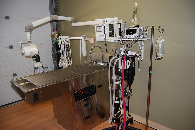 Muskoka Animal Hospital | 96 Hanes Rd #2, Huntsville, ON P1H 2P6, Canada | Phone: (705) 789-7979