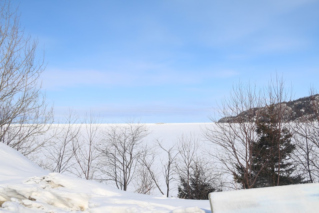 Lakehead Motel | 421 Cumberland St N, Thunder Bay, ON P7A 4P9, Canada | Phone: (807) 345-4487