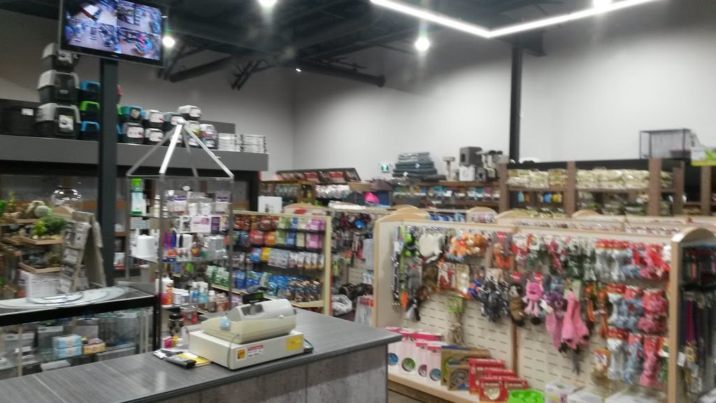 Animalerie Roufi | 855 Boulevard Ouellet, Thetford Mines, QC G6G 4X7, Canada | Phone: (418) 335-6147
