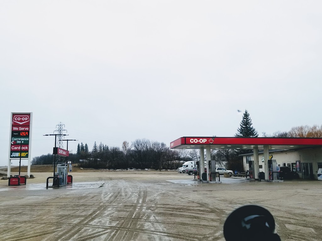 Homestead Co-op @ Austin Gas Bar | 66150 Tower Line Rd, Austin, MB R1N 3B3, Canada | Phone: (204) 637-3065