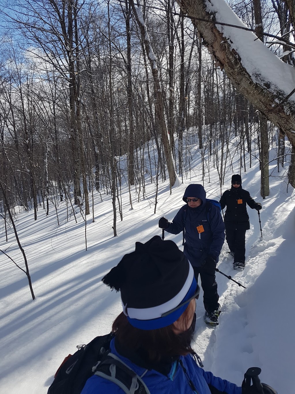Chalet Far Hills | 5966 Chemin du Lac-La Salle, Val-Morin, QC J0T 2R0, Canada | Phone: (819) 322-2834
