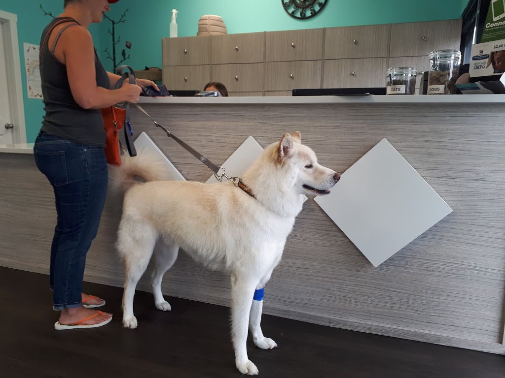 Beddington Trail Animal Hospital | BAY 1, 176 Bedford Dr NE, Calgary, AB T3K 2M9, Canada | Phone: (403) 263-8101