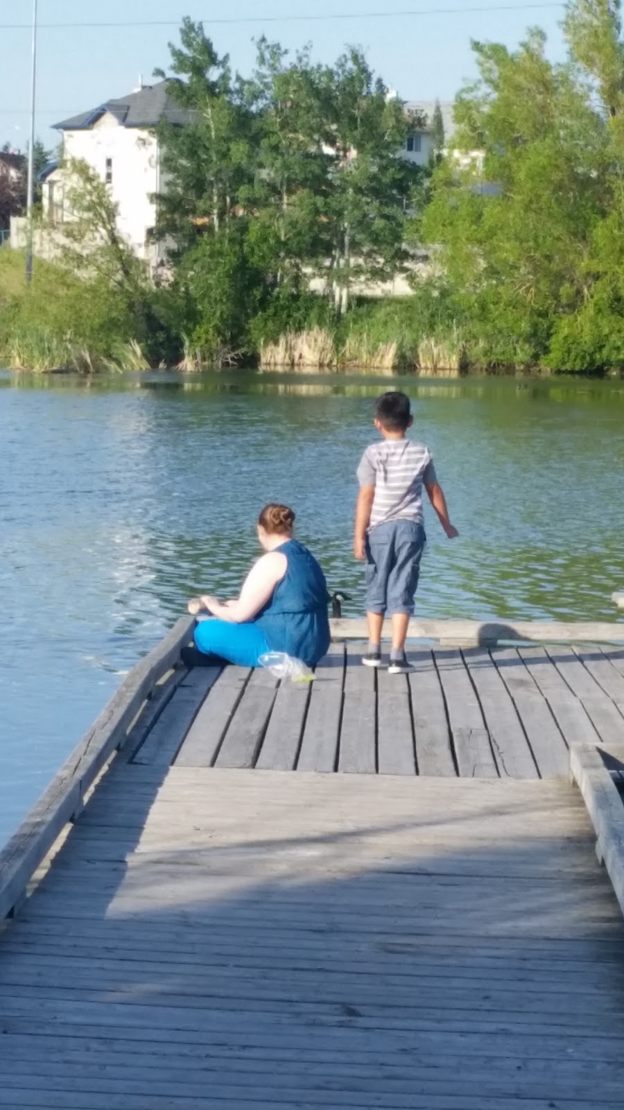 Bridlewood Wetlands Park | 45 Bridlecreek Park SW, Calgary, AB T2Y 3N6, Canada | Phone: (403) 268-2489