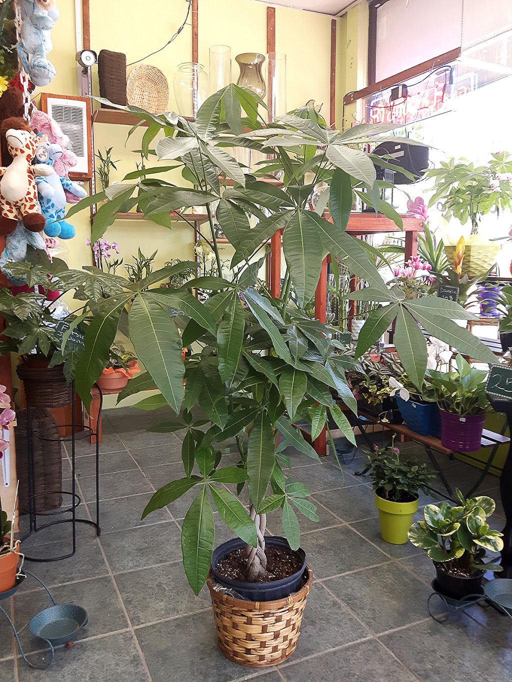 Fleuriste Le Joli Coeur | 2751 Rue Allard, Montréal, QC H4E 2L9, Canada | Phone: (514) 543-3005