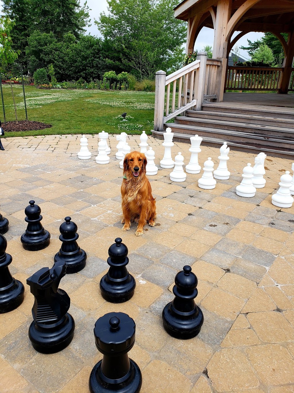 Saint Bernards Park | Enfield, NS B2T 1C9, Canada