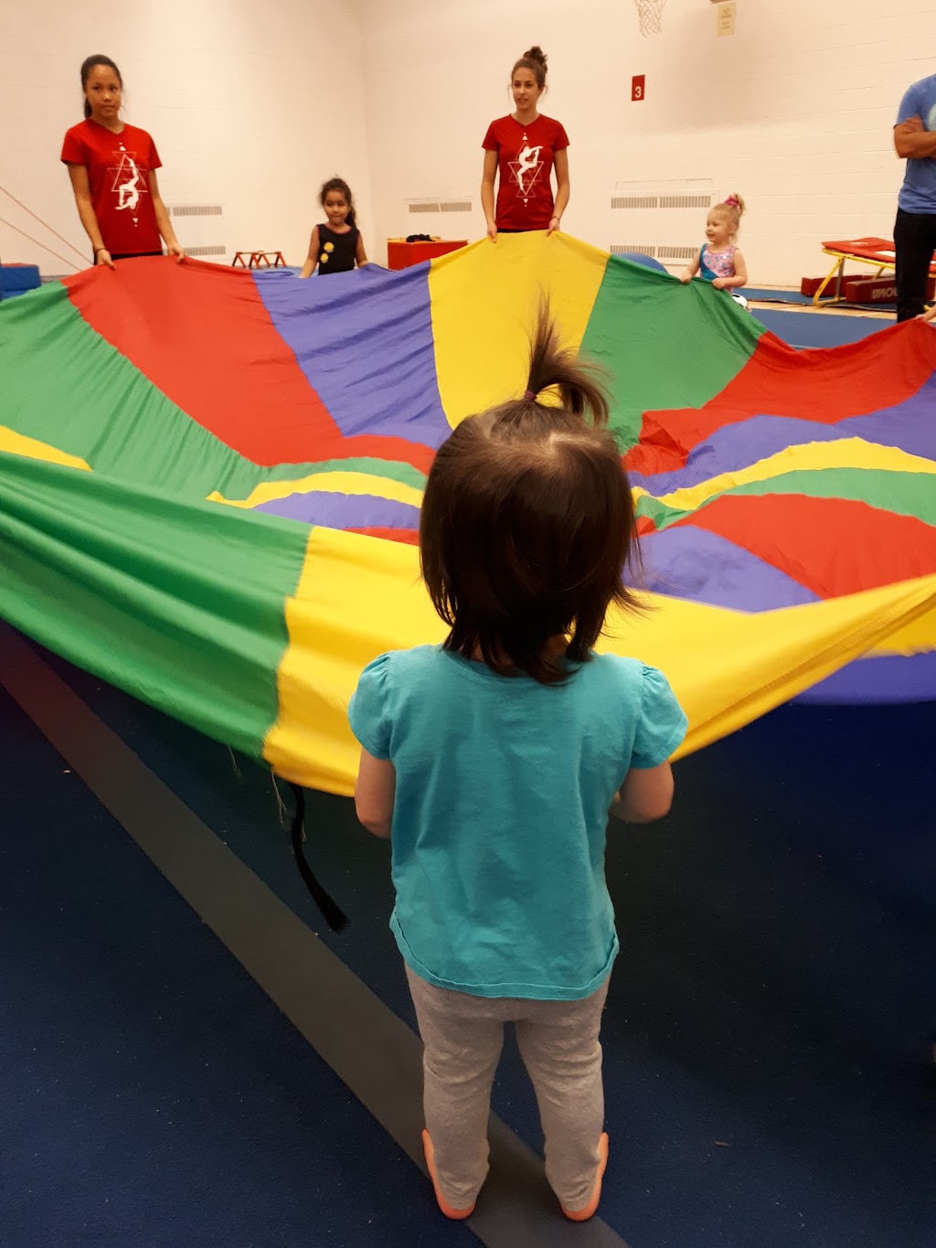 Club De Gymnastique Lenvol | 55 Rue des Commandeurs, Lévis, QC G6V 6P5, Canada | Phone: (418) 838-6051