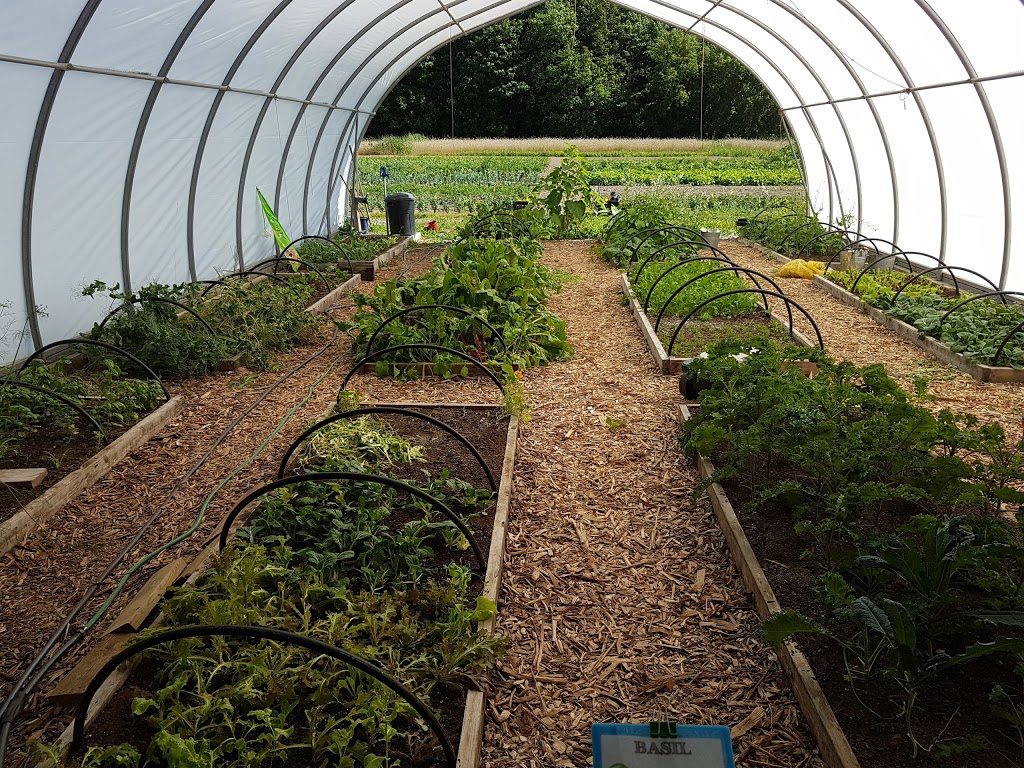 Moondance Organic Gardens | 8463 Line 5, Angus, ON L0M, Canada | Phone: (705) 719-8705