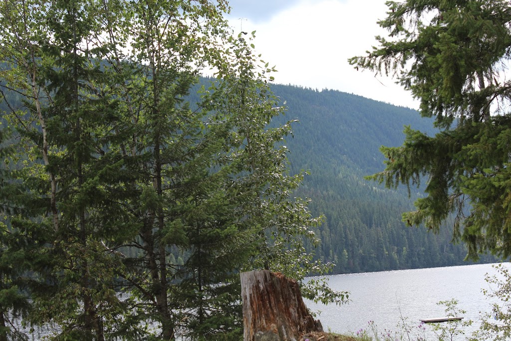 North Barriere Lake Resort | 8820 North Barriere Lake Road, Barriere BC, Mailing address: Box 1321 Stn Main, Kamloops, BC V2C 6L7, Canada | Phone: (604) 629-9903