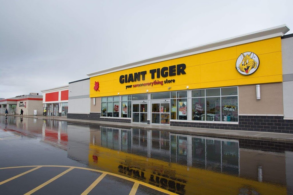 Giant Tiger | 880 10th St, Hanover, ON N4N 1S3, Canada | Phone: (519) 364-6138