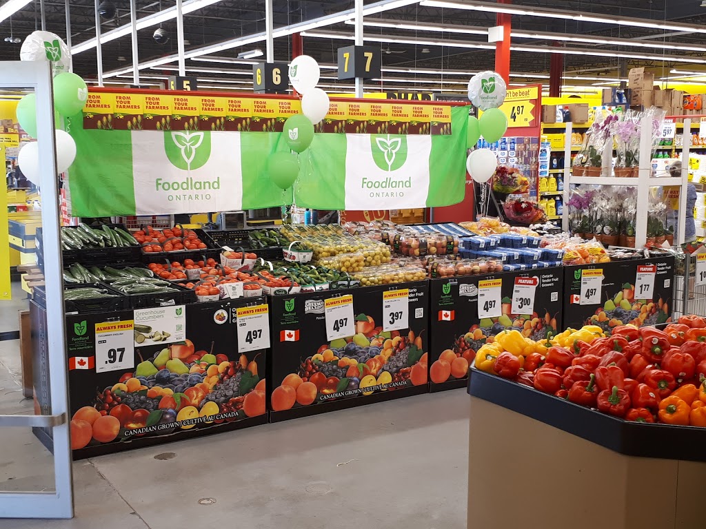 Johns No Frills | 101 2nd Line, Shelburne, ON L9V 3J4, Canada | Phone: (866) 987-6453