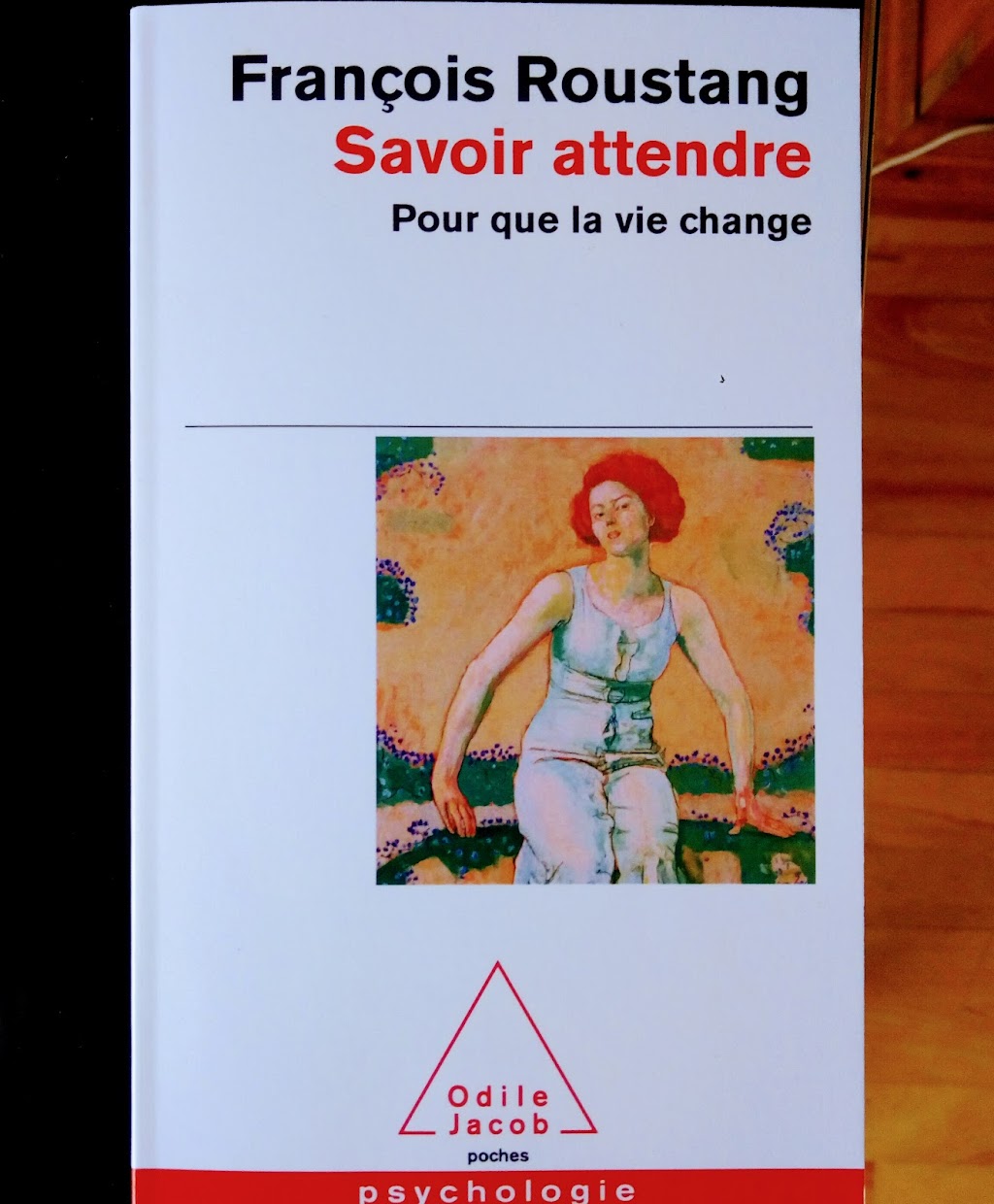 Hypnose - Hypnothérapeute - Méditation - Benoît Hogedez | 60 Av. Manseau Appartement 6, Outremont, QC H2V 4T1, Canada | Phone: (438) 408-1848