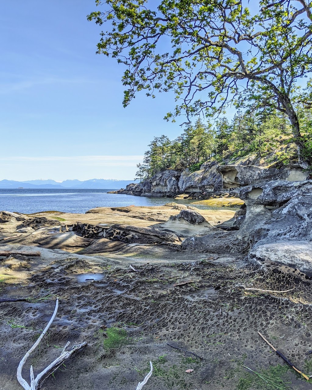 Saltair Ocean Adventures | 611 Oyster Bay Dr, Ladysmith, BC V9G 1A7, Canada | Phone: (604) 346-9114