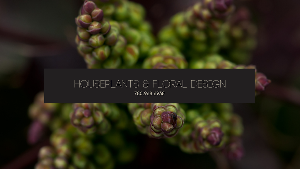 3Bs Flowers | 4807 44 Ave #106, Stony Plain, AB T7Z 1V5, Canada | Phone: (780) 968-6938