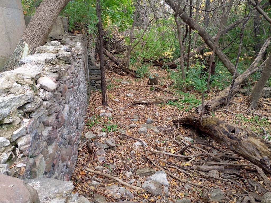 Credit Valley Conservation Authority | 1255 Old Derry Rd, Mississauga, ON L5N 6R4, Canada | Phone: (800) 668-5557
