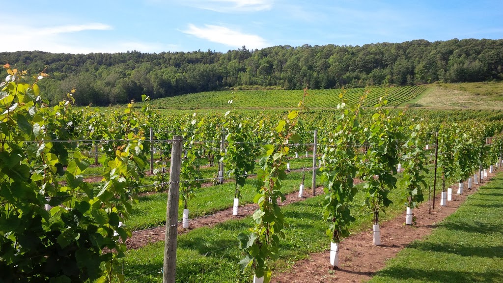 Gaspereau Vineyards | 2239 White Rock Rd, Wolfville, NS B4P 2R1, Canada | Phone: (902) 542-1455
