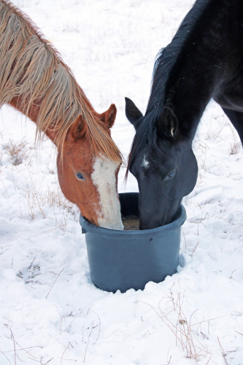 OLS Tubs | se6-41-23-w2, Middle Lake, SK S0K 2X0, Canada | Phone: (306) 231-7567