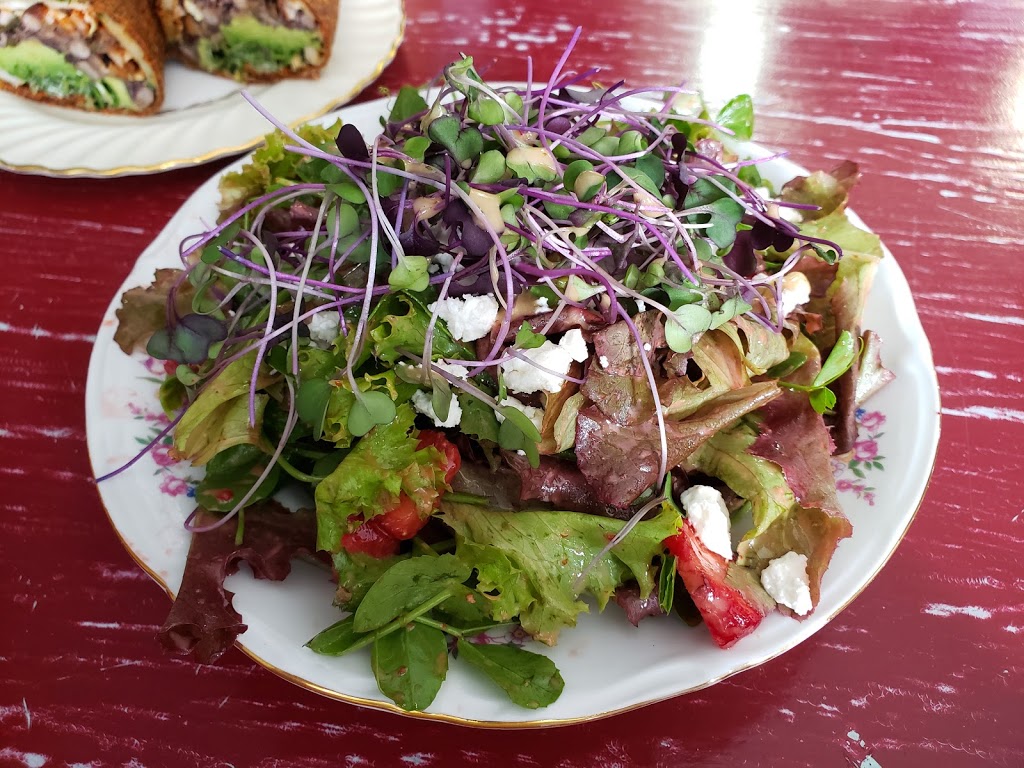 Healthy Cravings Holistic Kitchen | 155 Main St W, Shelburne, ON L9V 3K3, Canada | Phone: (519) 288-0246