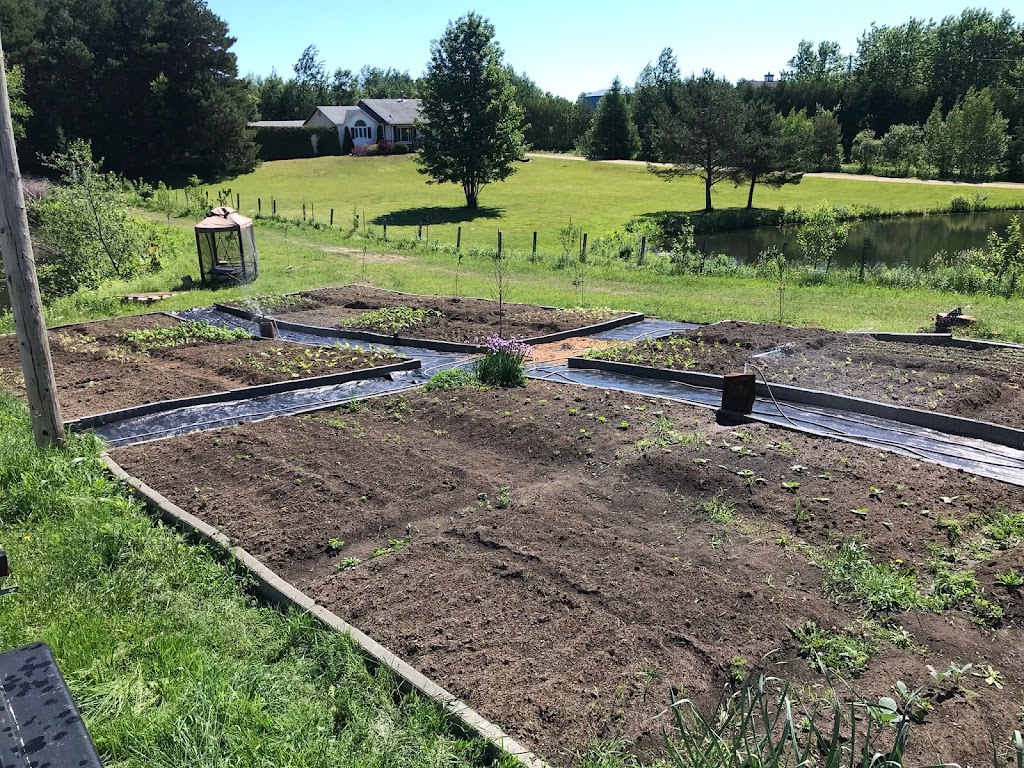 Recolte Sauvage (sur rendez-vous seulement) | 1339 Chem. de Lanaudière, Saint-Didace, QC J0K 2G0, Canada | Phone: (514) 882-3306