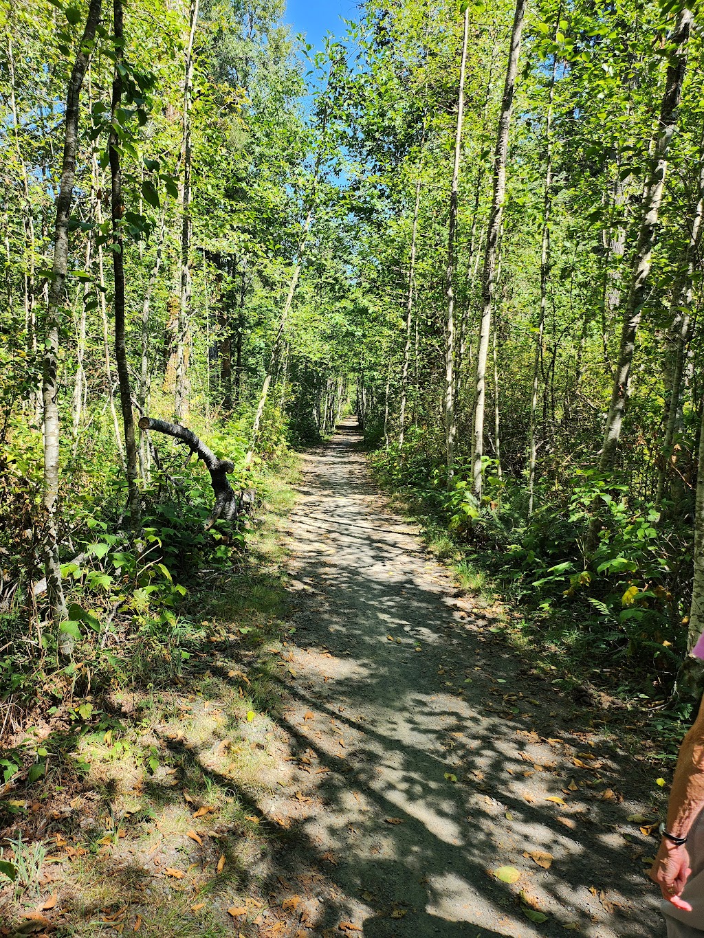 Bob Webb Trail | Brazier Rd, Courtenay, BC V9J 1S1, Canada | Phone: (250) 334-6000