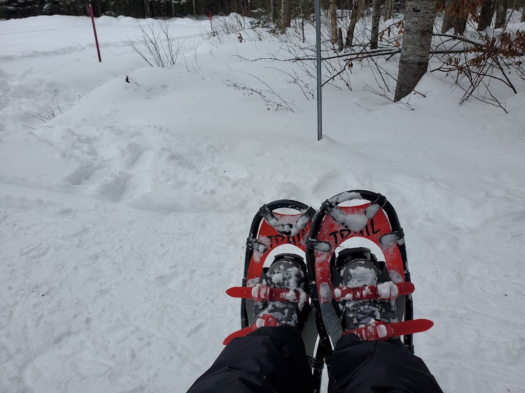 Club de Ski de fond de lOr Blanc | 3129 Rue Bégin, Thetford Mines, QC G6H 2E5, Canada | Phone: (418) 334-8259