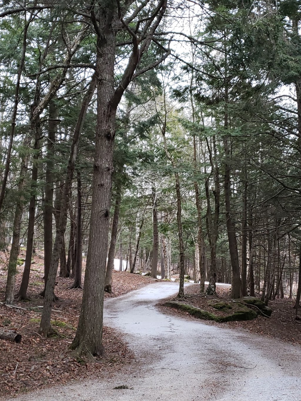 Dutch Point Trails | Hampton, NB E5N 6A9, Canada | Phone: (506) 832-6449
