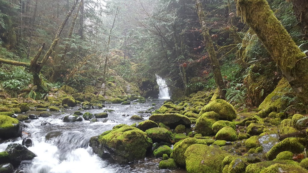 Fossli Provincial Park | Alberni-Clayoquot D, BC V0R 2B0, Canada | Phone: (250) 474-1336