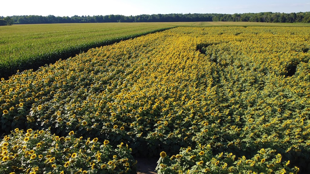 Bragg Farms | 3048 Concession Rd 3, Bowmanville, ON L1C 3K5, Canada | Phone: (905) 623-9198