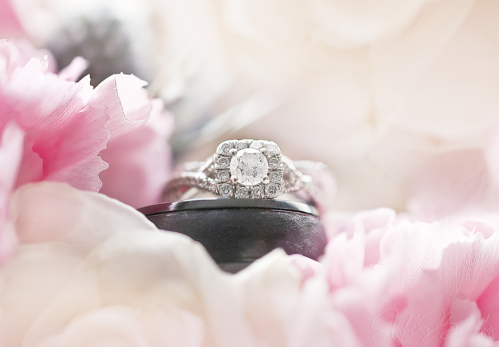 Ashley Brooks Photography | 77 Pembers Pass, Woodstock, ON N4S 8Z7, Canada | Phone: (519) 537-4394