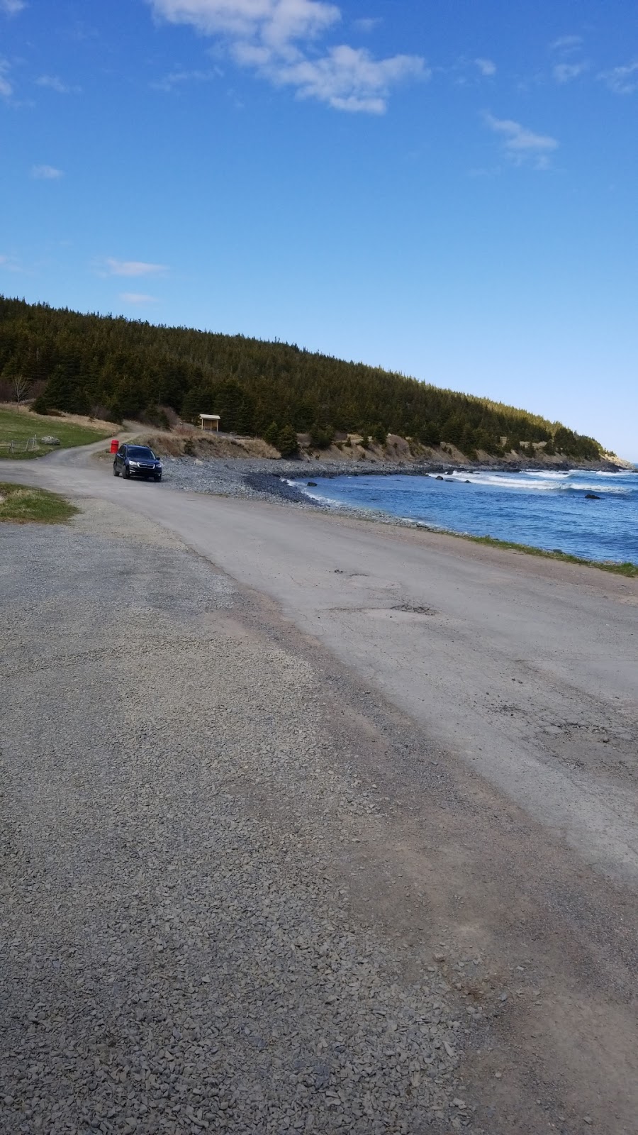 Pirates Path Trail | Mosquito Hill, Harbour Grace, NL A0A 2M0, Canada