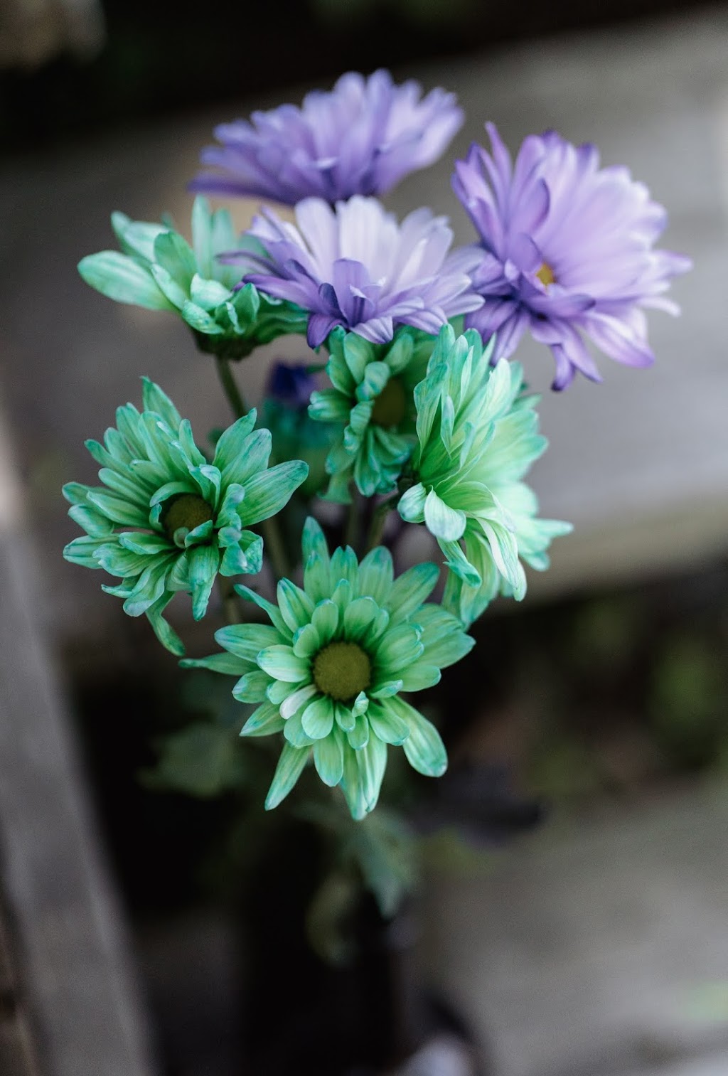 Wild Muse Weddings | 1031 Queenston Rd, Cambridge, ON N3H 3K7, Canada | Phone: (226) 581-1277