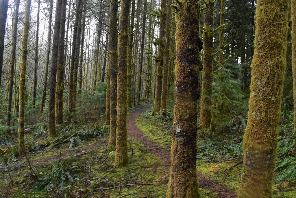 QAI Labs Outdoor Test Site | Marc Rd, Maple Ridge, BC V4R 2G5, Canada | Phone: (877) 461-8378