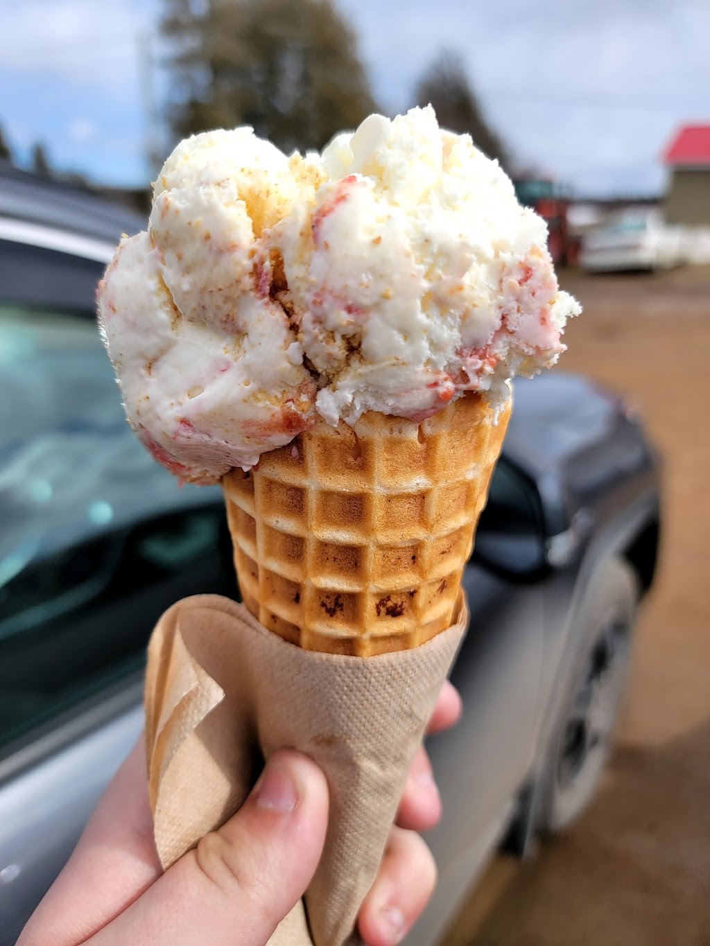 Trueman Blueberry Farms | 255 Etter Ridge Rd, Aulac, NB E4L 2V2, Canada | Phone: (506) 364-7458