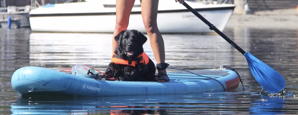 All Access Adventures | 18 W 16th Ave, Vancouver, BC V5Y 1Y6, Canada | Phone: (604) 724-6033