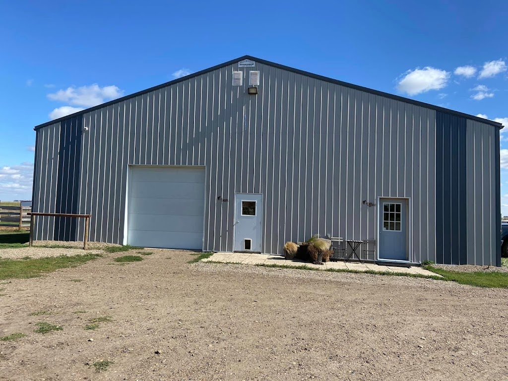 Thunderbird Therapy | Central Ave, Hays, AB T0K 1B0, Canada | Phone: (306) 370-0438