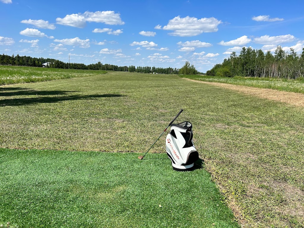 BiGG Golf Academy - Optimize Your Golf Game | 48447 Range Rd 10, Thorsby, AB T0C 2T0, Canada | Phone: (403) 597-5763