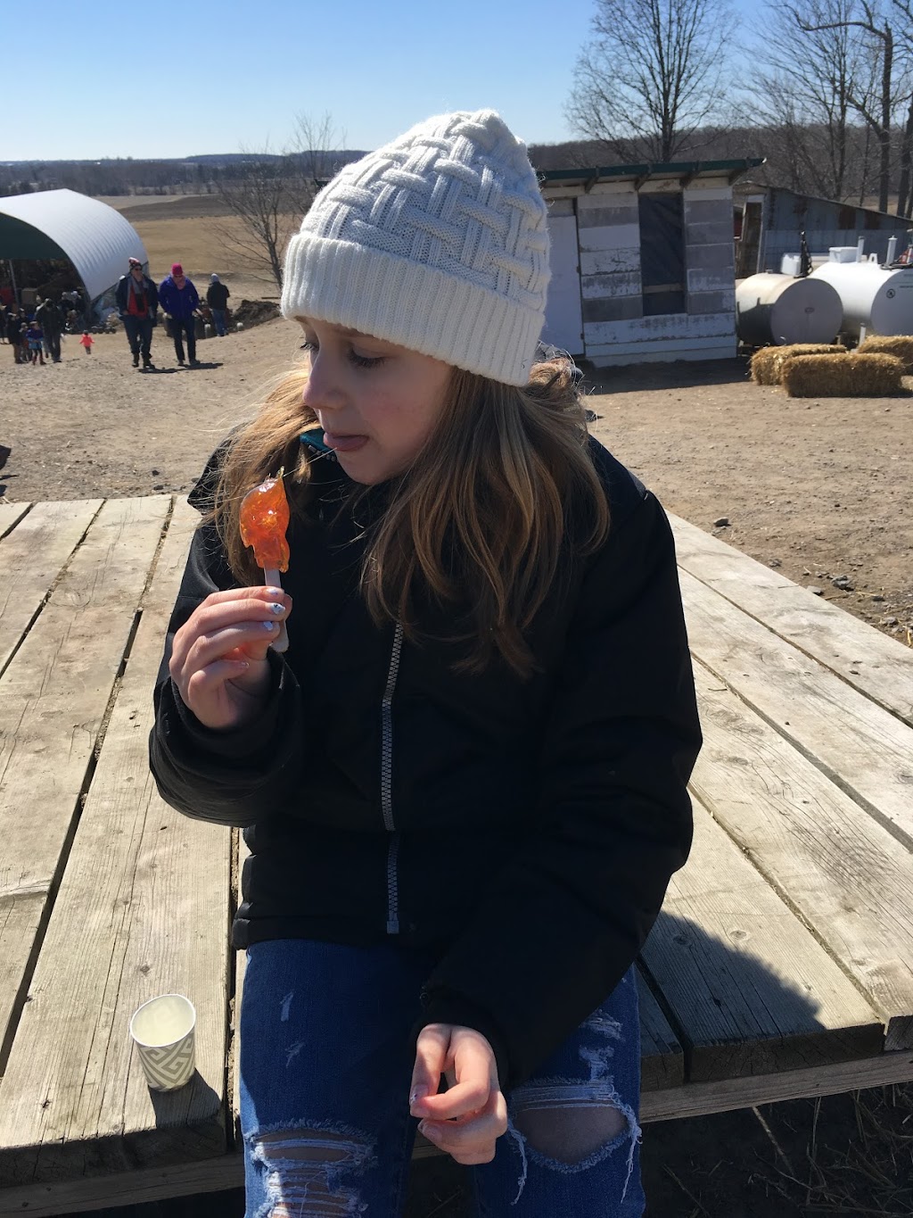 Nyman Farms-Maple Syrup Sales Only | 292 Mowbray Rd, Picton, ON K0K 2T0, Canada | Phone: (613) 476-6120