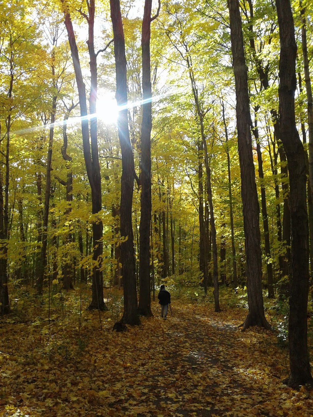 Meadowbrook park | Kingston, ON K7M 8A7, Canada
