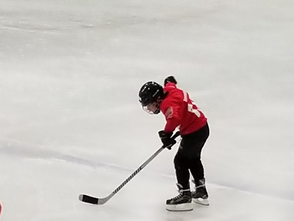 NCI Vaughan Iceplex | 7551 Jane St, Vaughan, ON L4K 1C7, Canada | Phone: (905) 669-1791