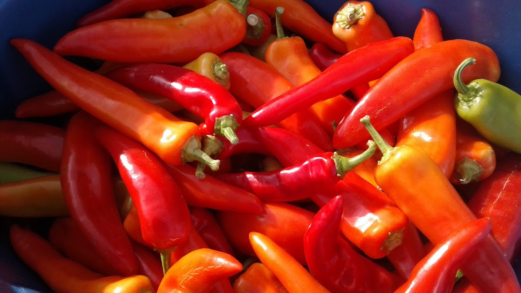 Granite Organic | 4159 Chester Rd, Windsor, NS B0N 2T0, Canada | Phone: (902) 448-5199