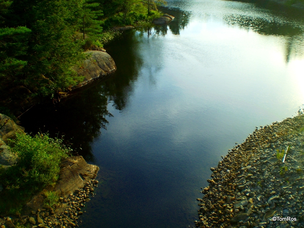 Christine Marshall Wildlife | Concession Rd 15 W, Penetanguishene, ON L9M 1R3, Canada | Phone: (705) 762-6622
