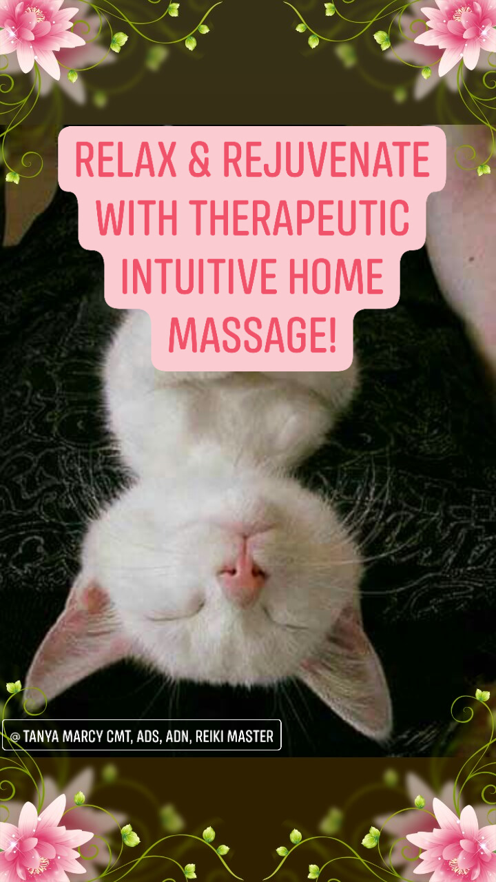 Tanya Marcy CMT, ADS, ADN, Reiki Master | 190 S Brook Rd, Montgomery Center, VT 05471, USA | Phone: (802) 326-4424