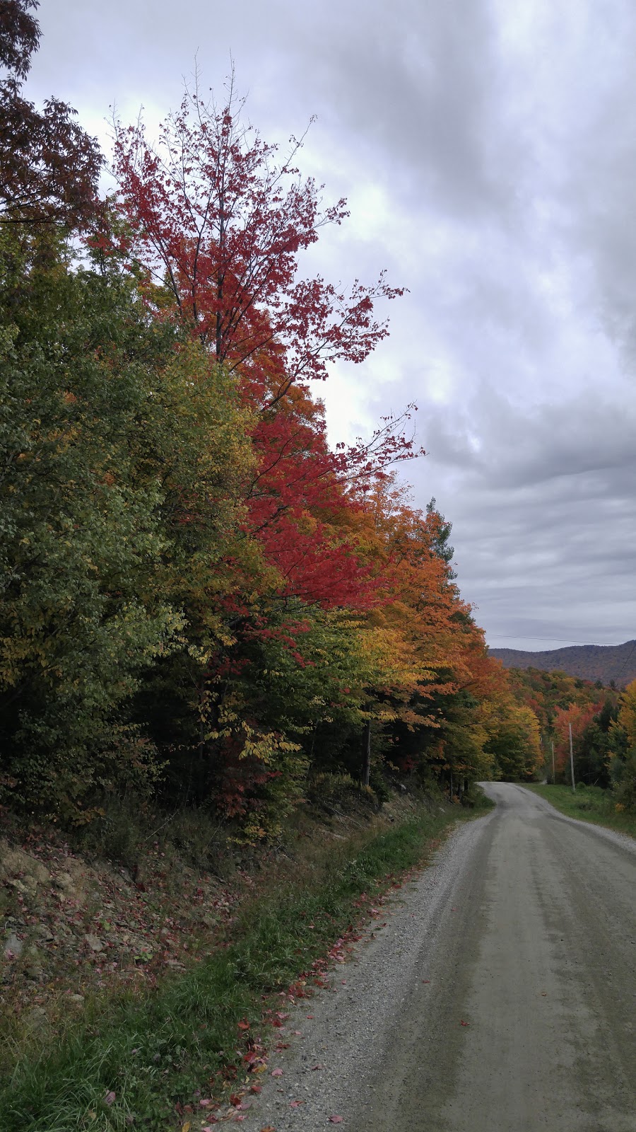 Hi Vue Maples | 178 Stevens Mills Slide Rd, Richford, VT 05476, USA | Phone: (802) 752-8888
