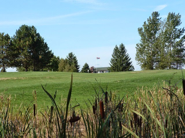 Sunnybrae Golf Club | 1430 King St, Prince Albert, ON L9L 1C1, Canada | Phone: (905) 985-2234